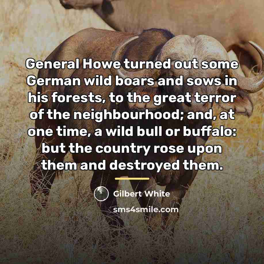 “General Howe turned out some German wild boars and sows…” quote by Gilbert White