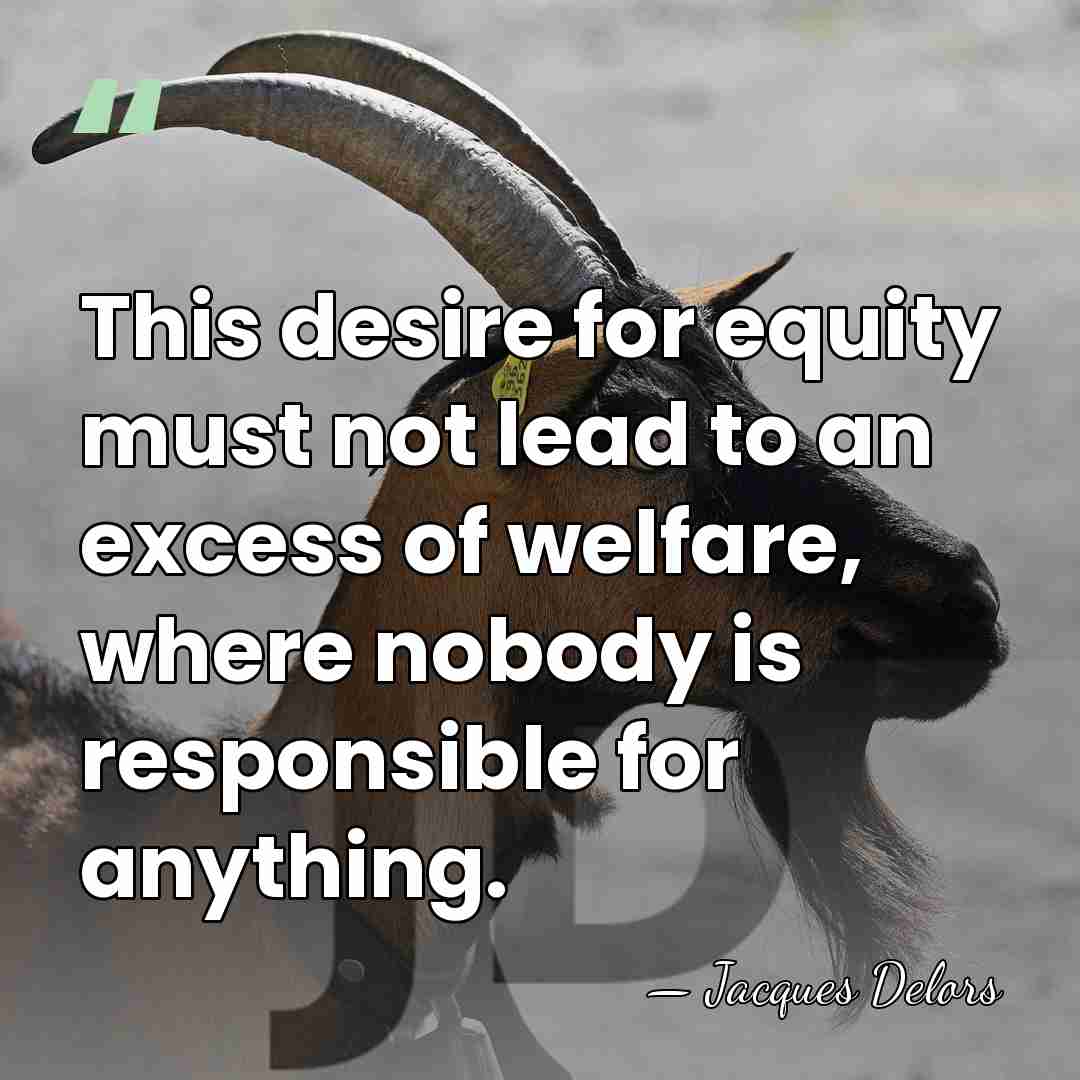 This desire for equity must not lead to an excess of welfare,&hellip; - Jacques Delors