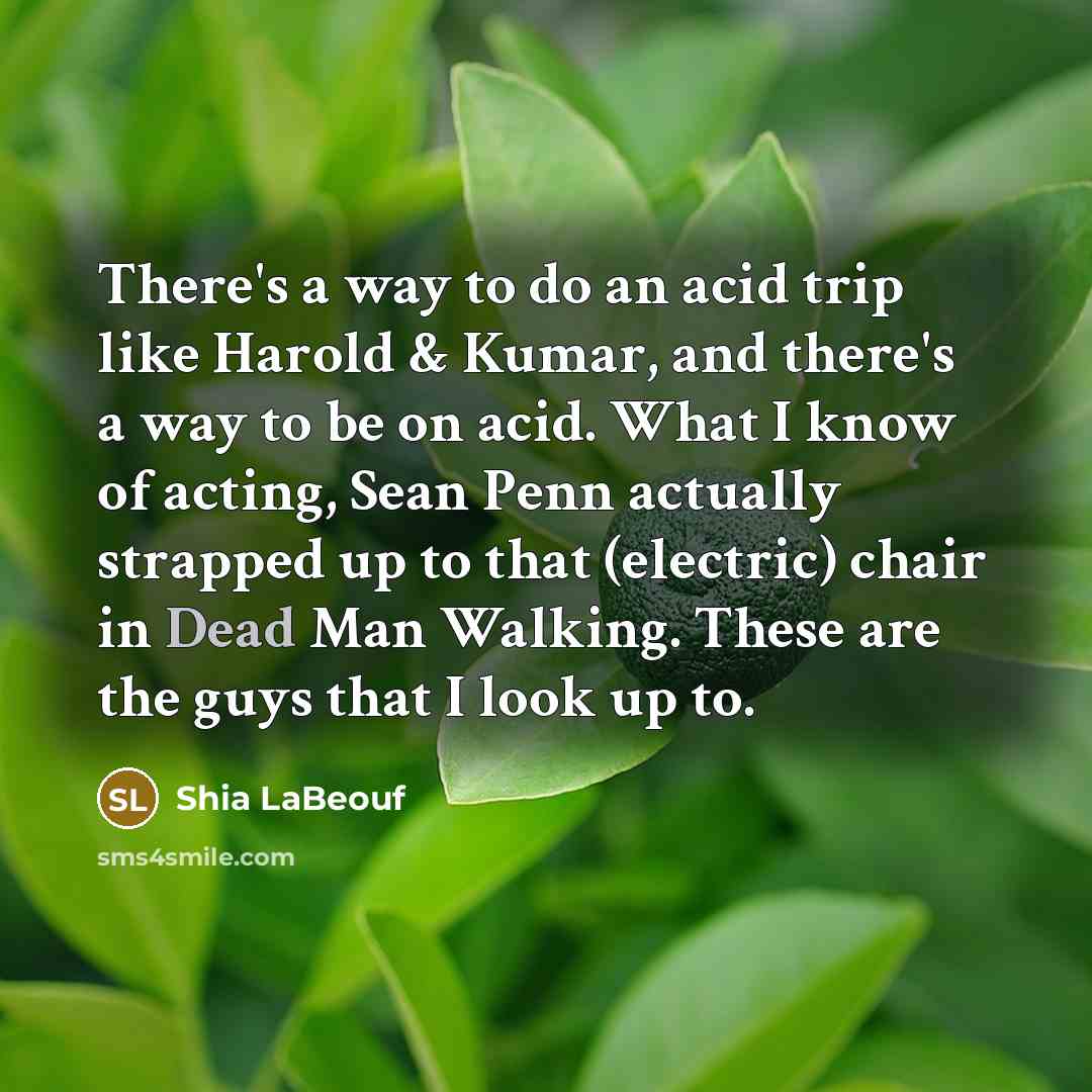 “There's a way to do an acid trip like Harold…” quote by Shia LaBeouf