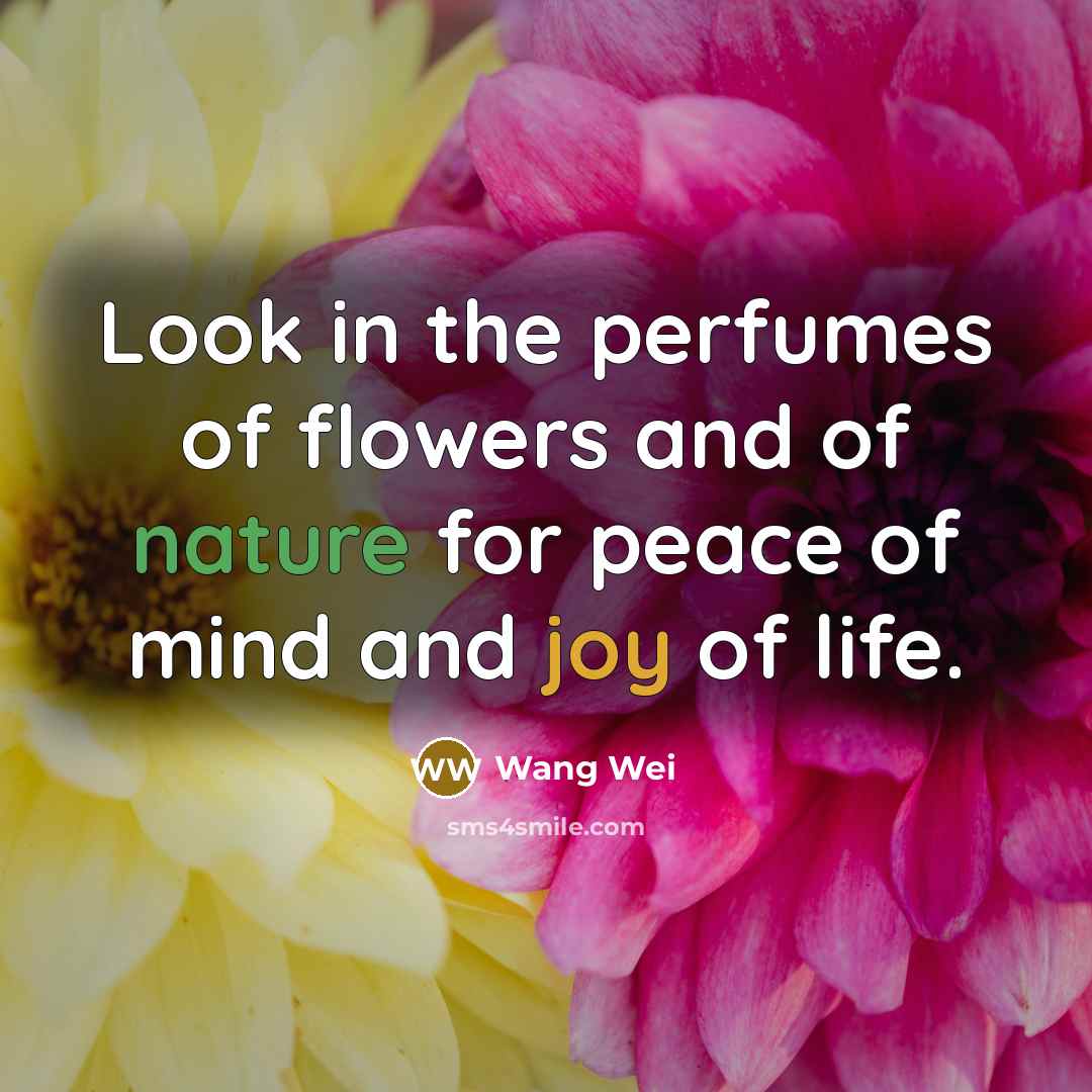 “Look in the perfumes of flowers and of nature for…” quote by Wang Wei