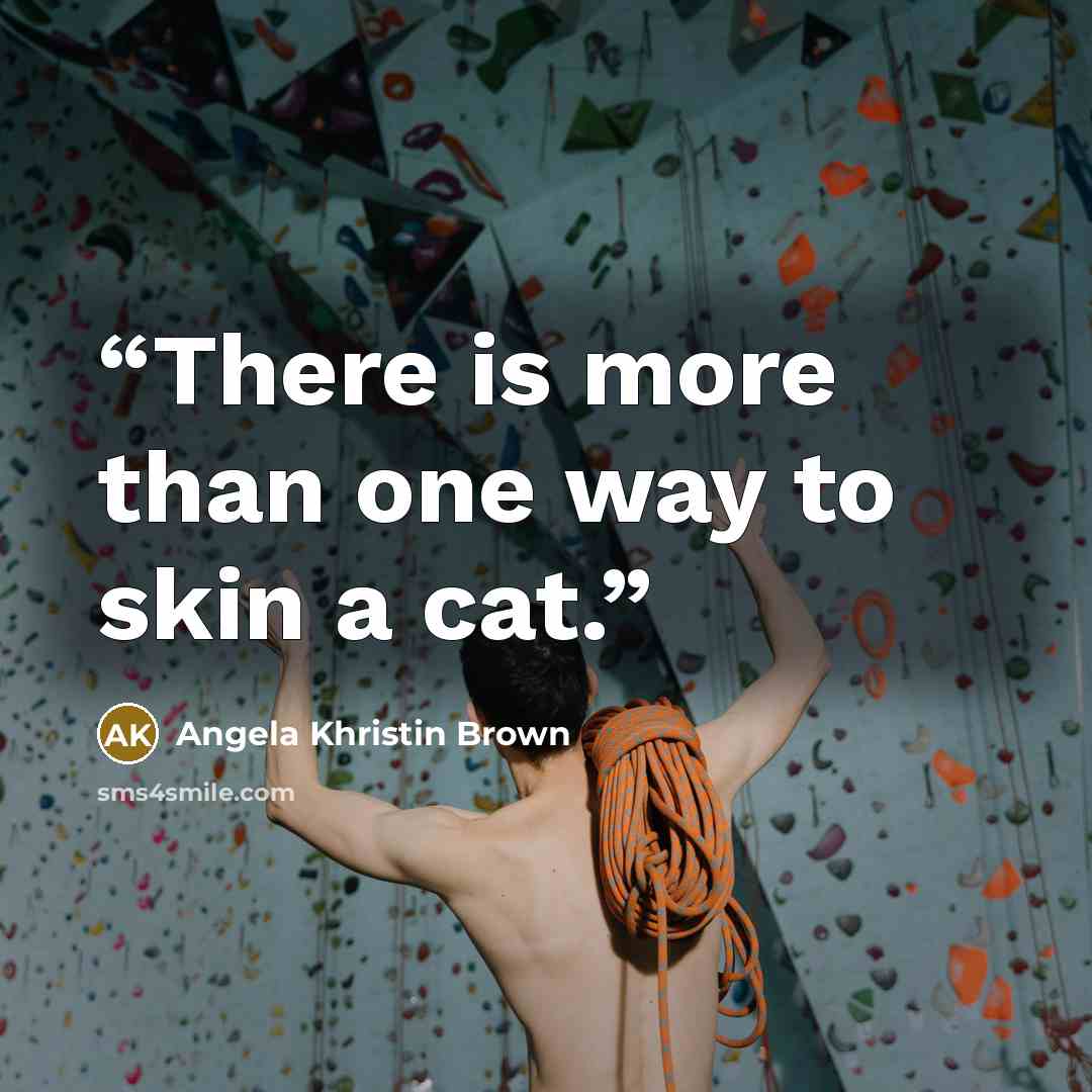 “There is more than one way to skin a cat.” quote by Angela Khristin Brown