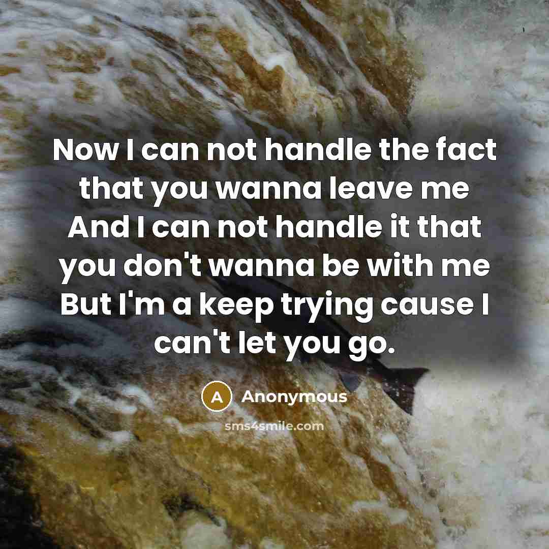 “Now I can not handle the fact that you wanna leave me And I can not handle it that you don't wanna be with me But I'm a keep trying cause I can't let you go.” quote by Anonymous