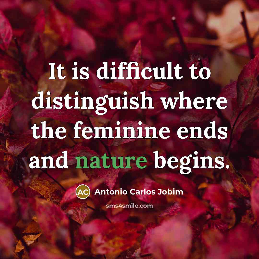 “It is difficult to distinguish where the feminine ends and…” quote by Antonio Carlos Jobim