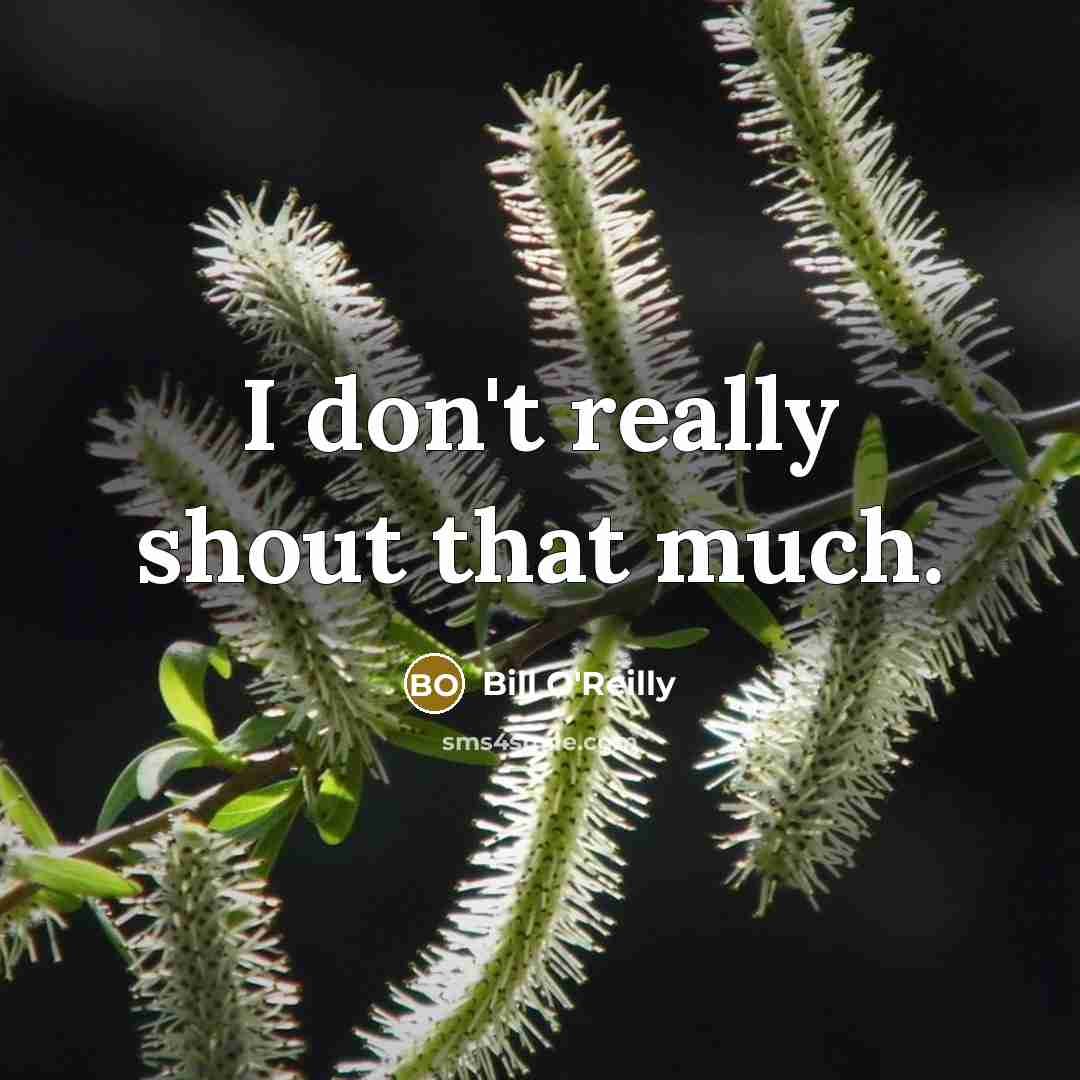 “I don't really shout that much.…” quote by Bill O'Reilly