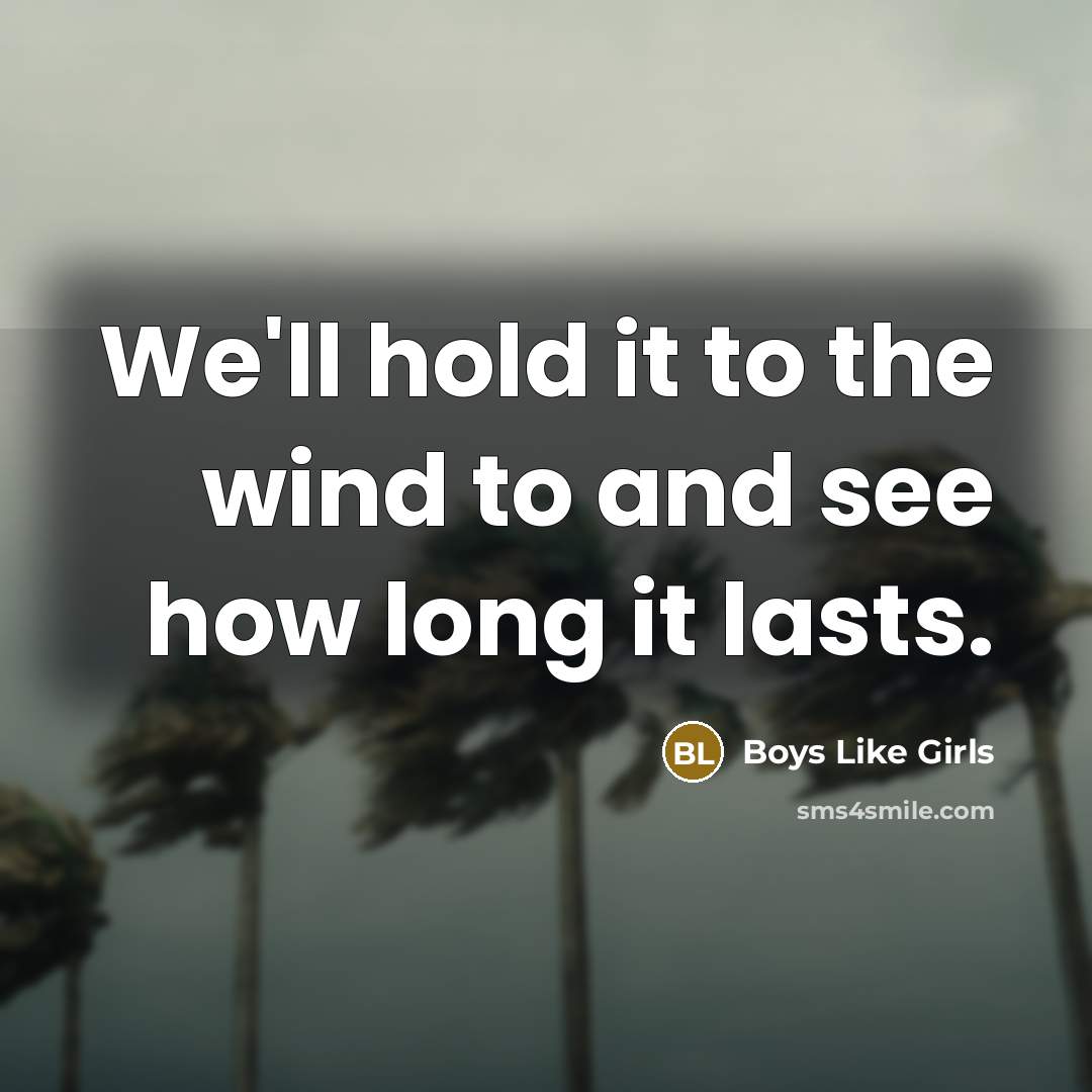 “We'll hold it to the wind to and see how…” quote by Boys Like Girls