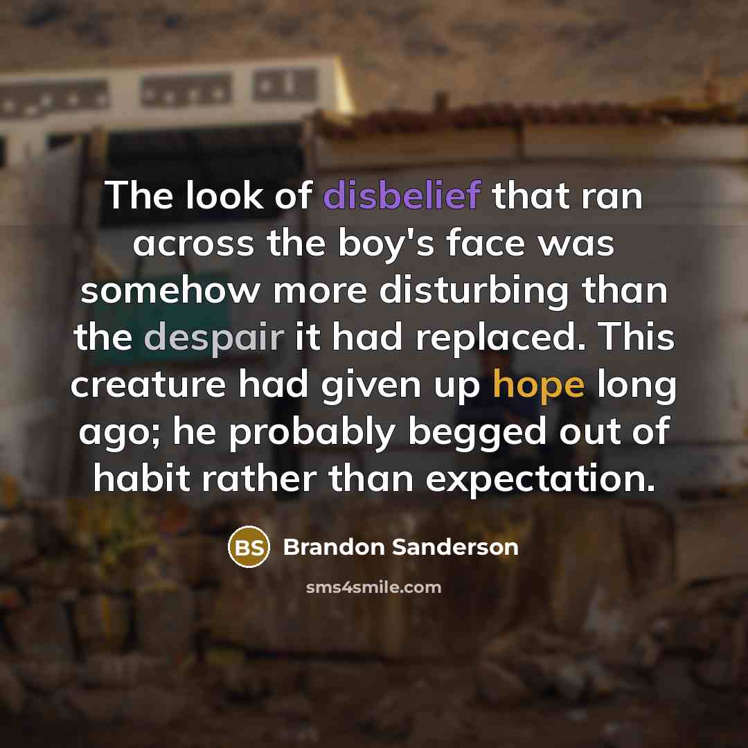 “The look of disbelief that ran across the boy's face…” quote by Brandon Sanderson