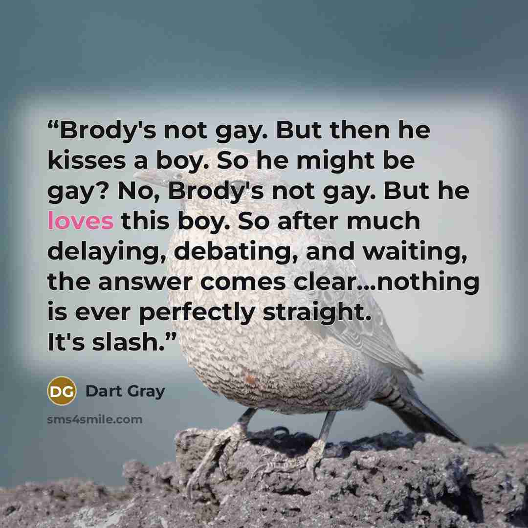 “Brody's not gay. But then he kisses a boy. So he might be gay? No, Brody's not gay. But he loves this boy. So after much delaying, debating, and waiting, the answer comes clear...nothing is ever perfectly straight. It's slash.” quote by Dart Gray