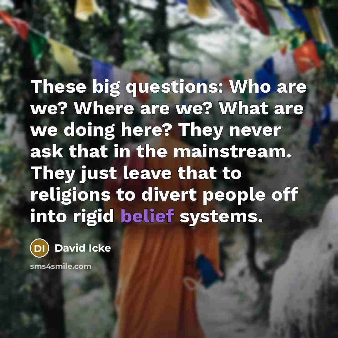 “These big questions: Who are we? Where are we? What…” quote by David Icke