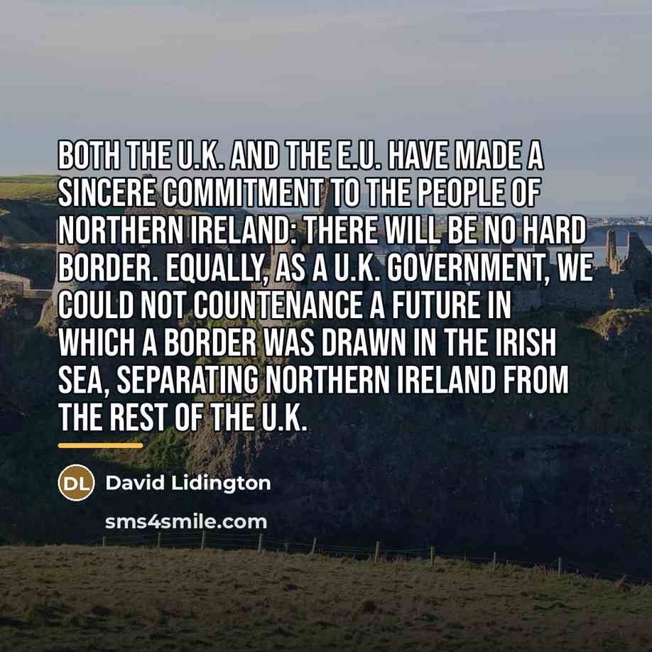 “Both the U.K. and the E.U. have made a sincere…” quote by David Lidington