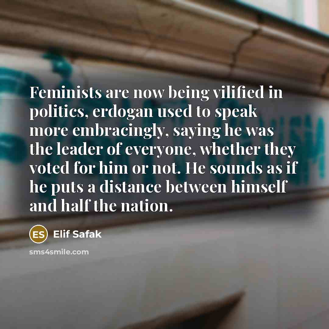 “Feminists are now being vilified in politics, erdogan used to…” quote by Elif Safak