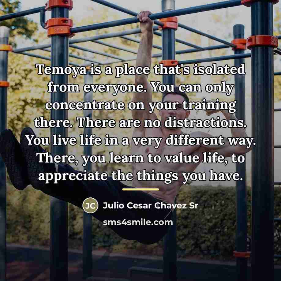 “Temoya is a place that's isolated from everyone. You can…” quote by Julio Cesar Chavez Sr