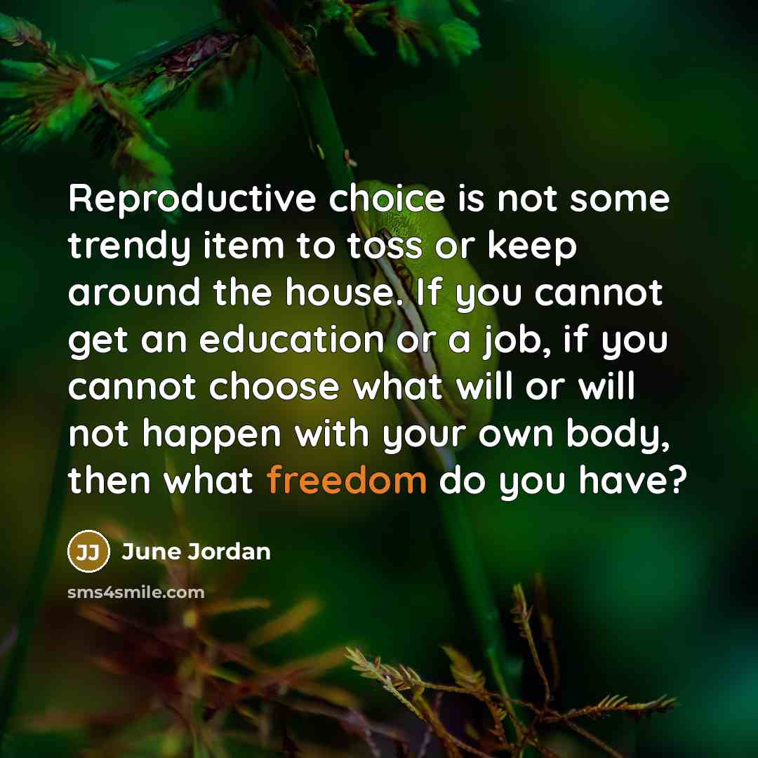 “Reproductive choice is not some trendy item to toss or…” quote by June Jordan