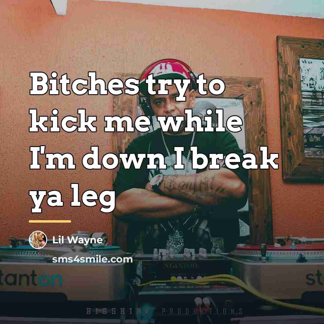 “Bitches try to kick me while I'm down I break…” quote by Lil Wayne