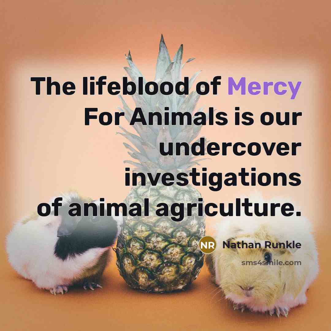 “The lifeblood of Mercy For Animals is our undercover investigations…” quote by Nathan Runkle