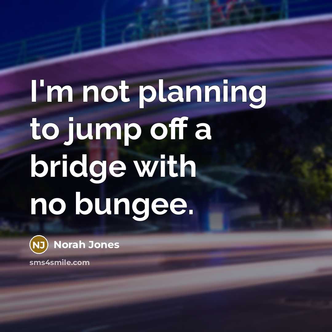 “I'm not planning to jump off a bridge with no bungee.” quote by Norah Jones