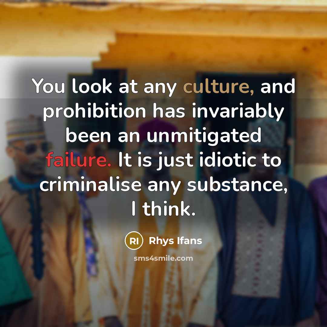 “You look at any culture, and prohibition has invariably been…” quote by Rhys Ifans