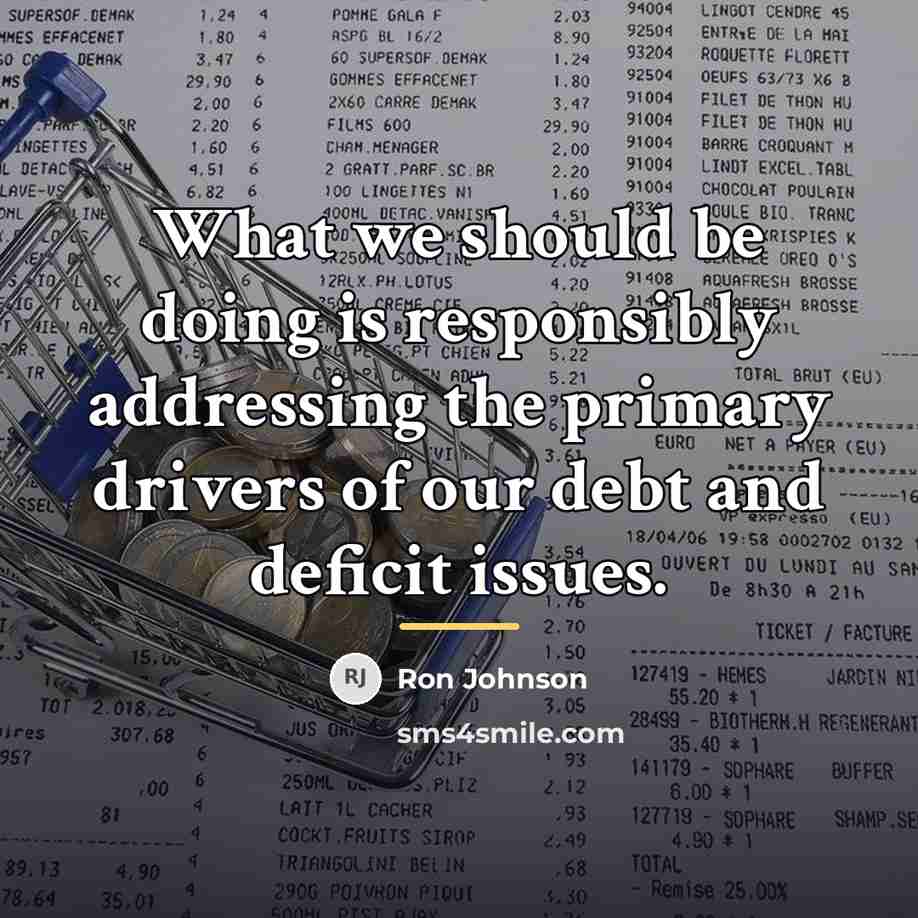 “What we should be doing is responsibly addressing the primary…” quote by Ron Johnson