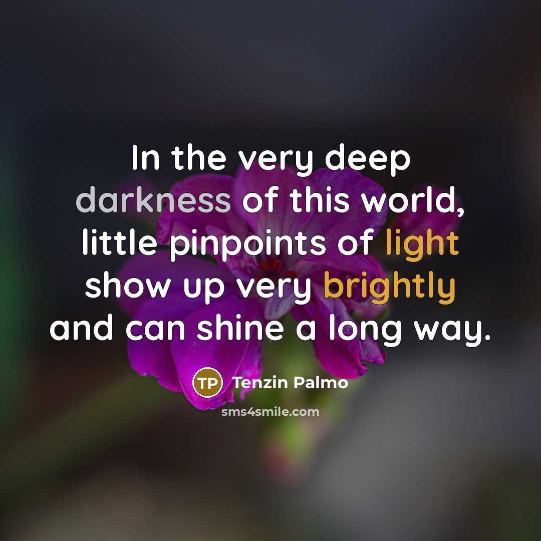 “In the very deep darkness of this world, little pinpoints…” quote by Tenzin Palmo