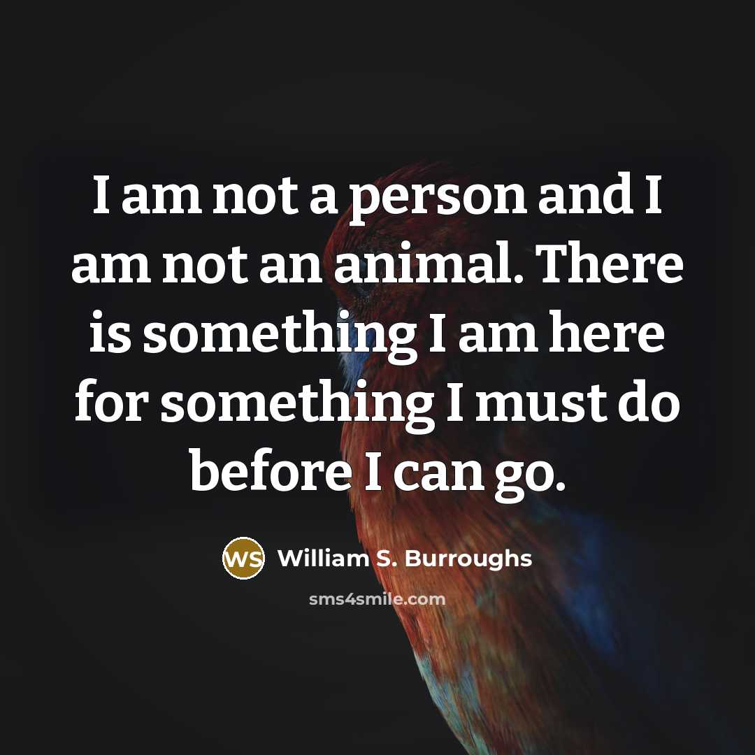 “I am not a person and I am not an…” quote by William S. Burroughs