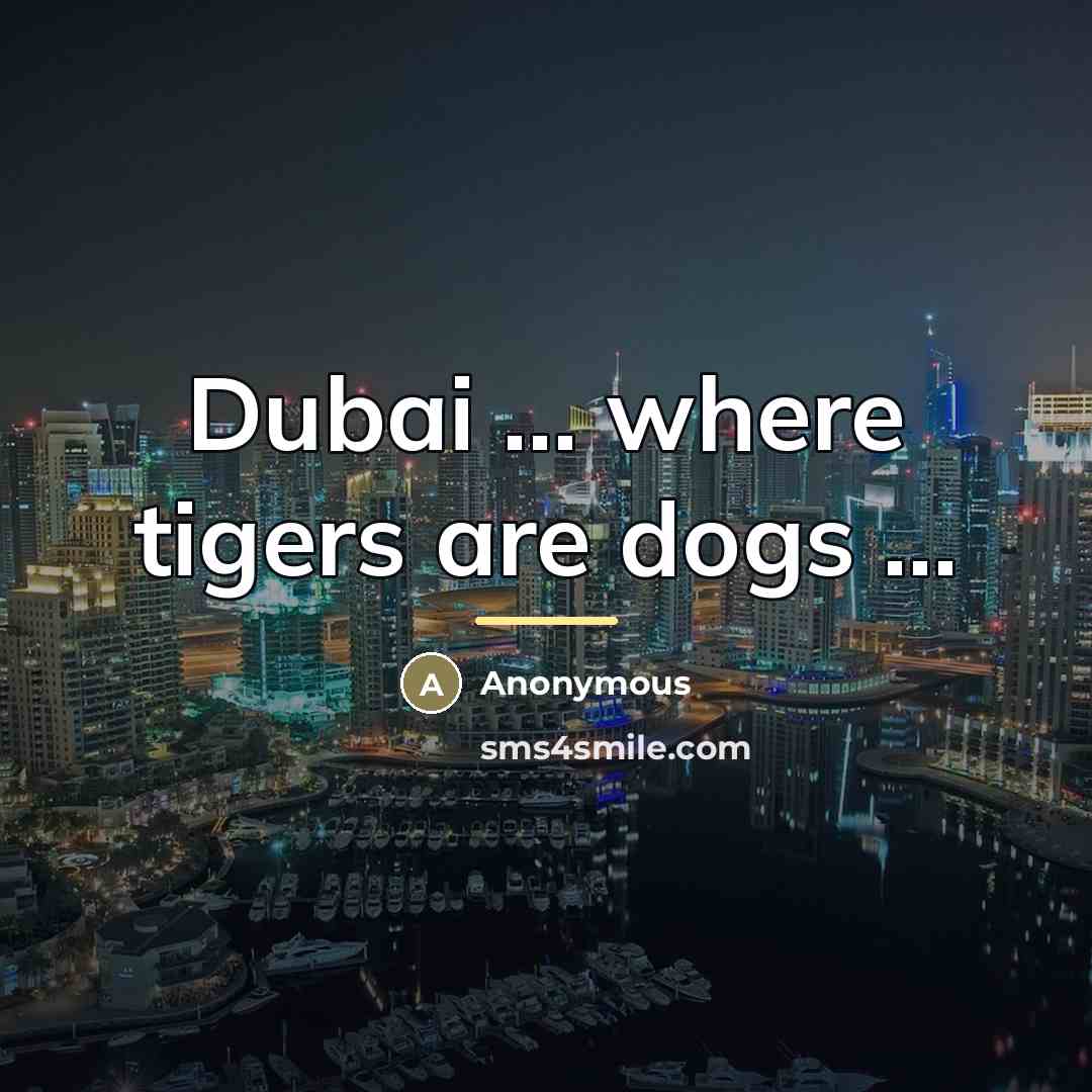 “Dubai ... where tigers are dogs ...…” quote by Anonymous