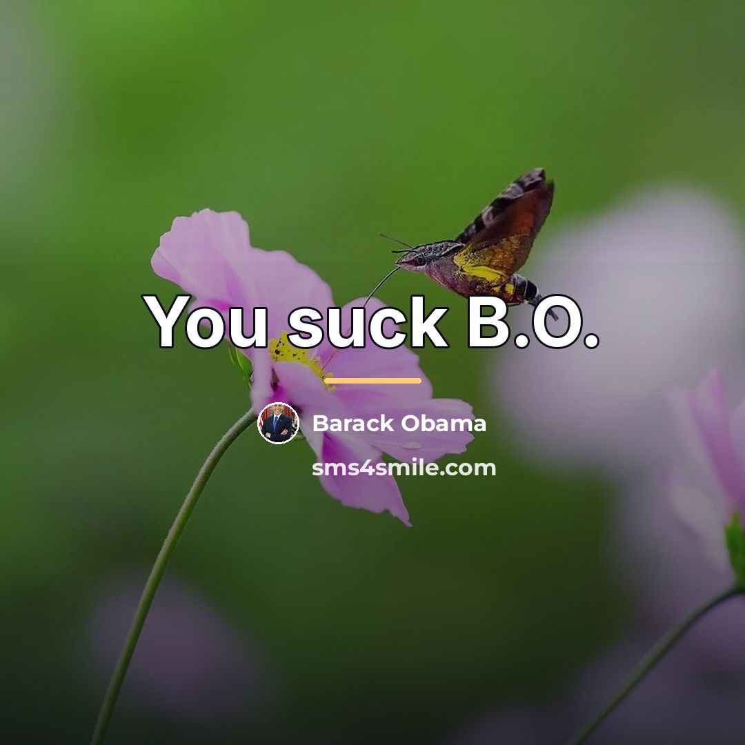“You suck B.O.…” quote by Barack Obama