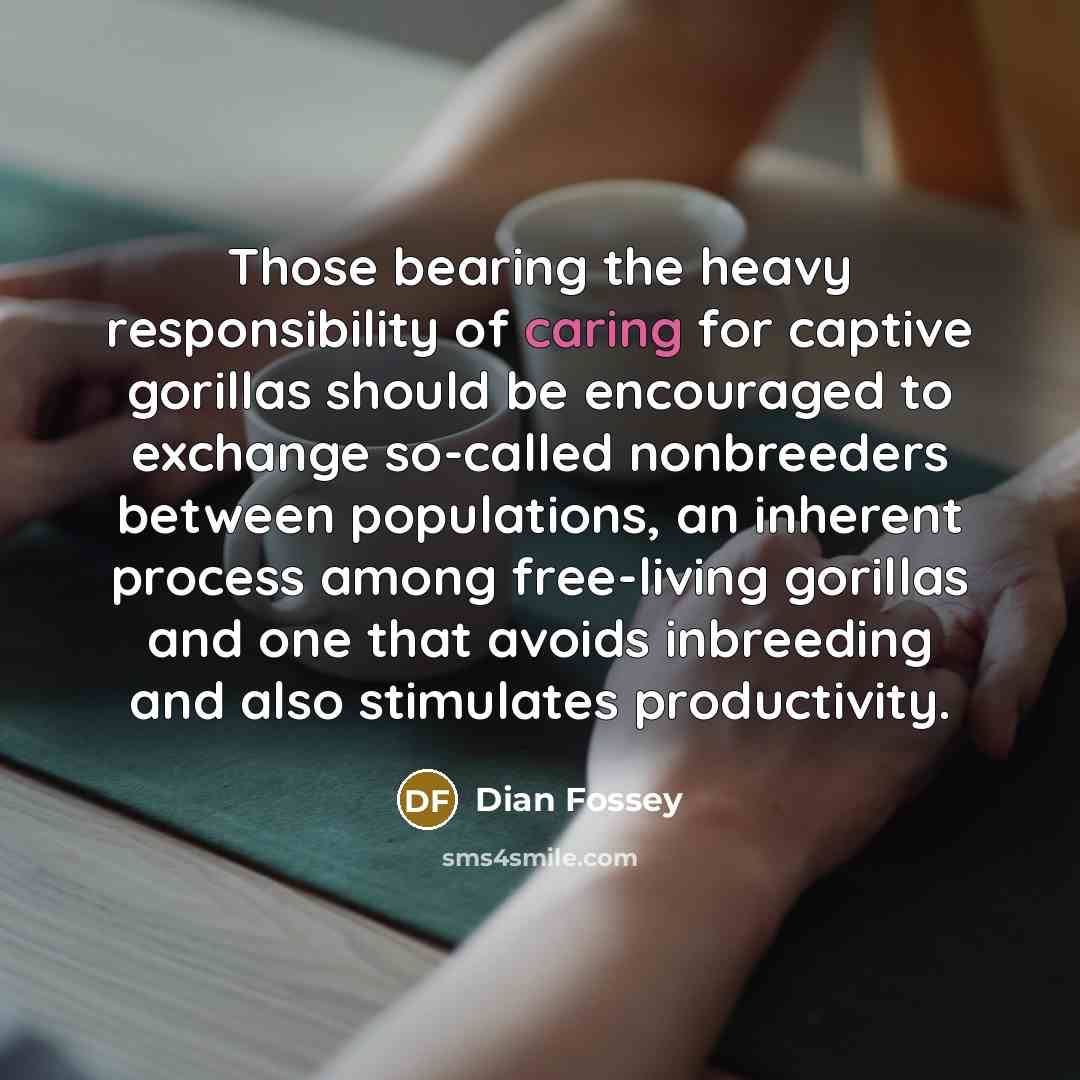 “Those bearing the heavy responsibility of caring for captive gorillas…” quote by Dian Fossey