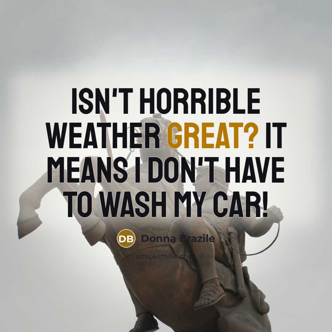 “Isn't horrible weather great? It means I don't have to…” quote by Donna Brazile