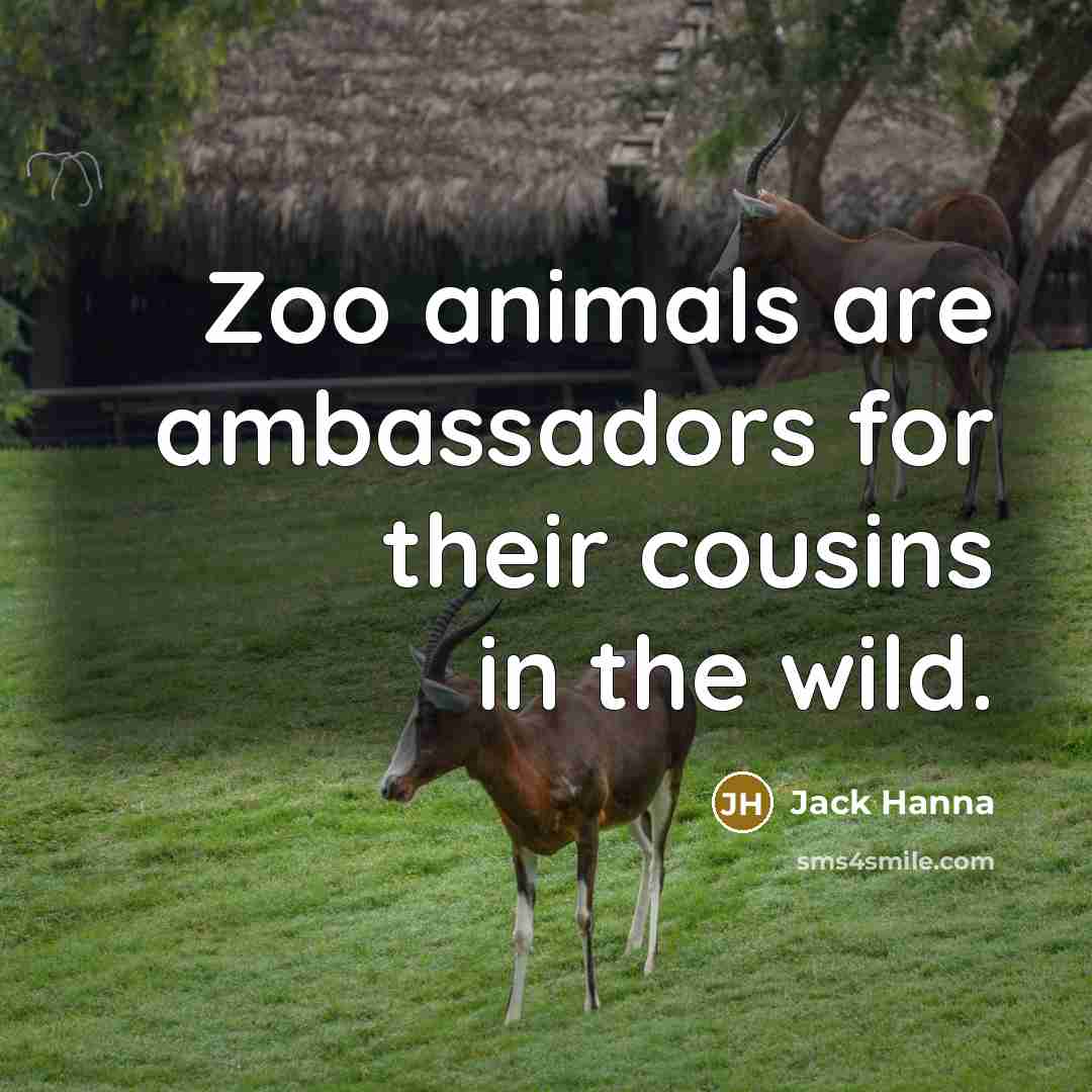 “Zoo animals are ambassadors for their cousins in the wild.…” quote by Jack Hanna