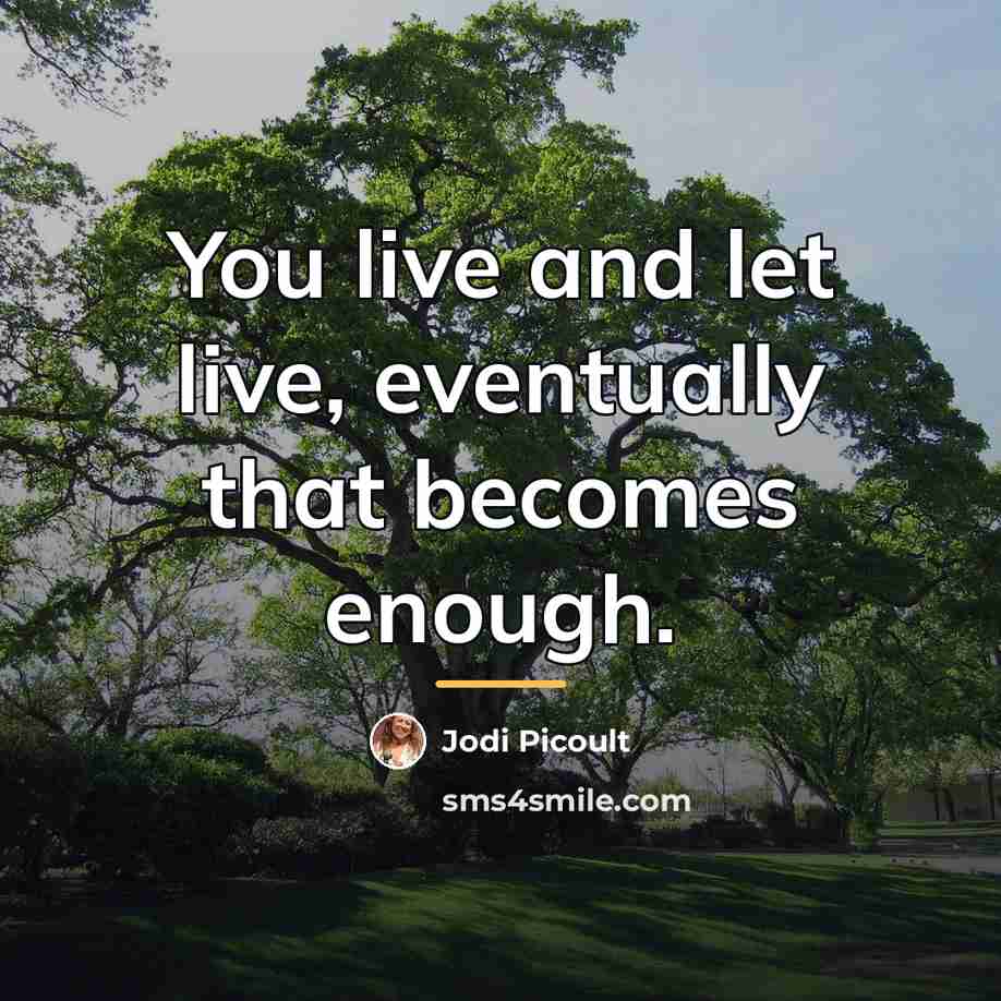 “You live and let live, eventually that becomes enough.…” quote by Jodi Picoult