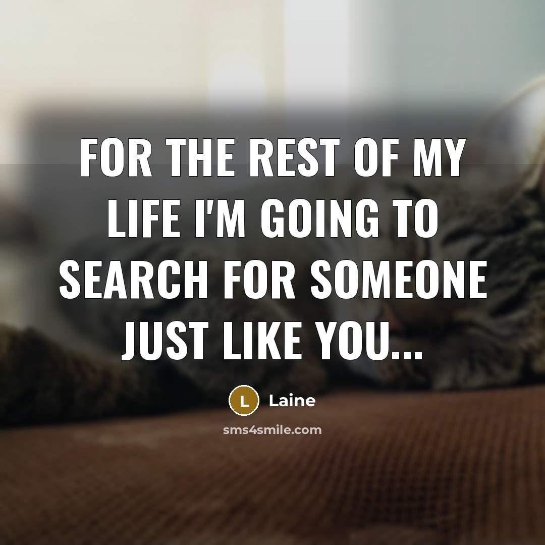 “For the rest of my life I'm going to search…” quote by Laine