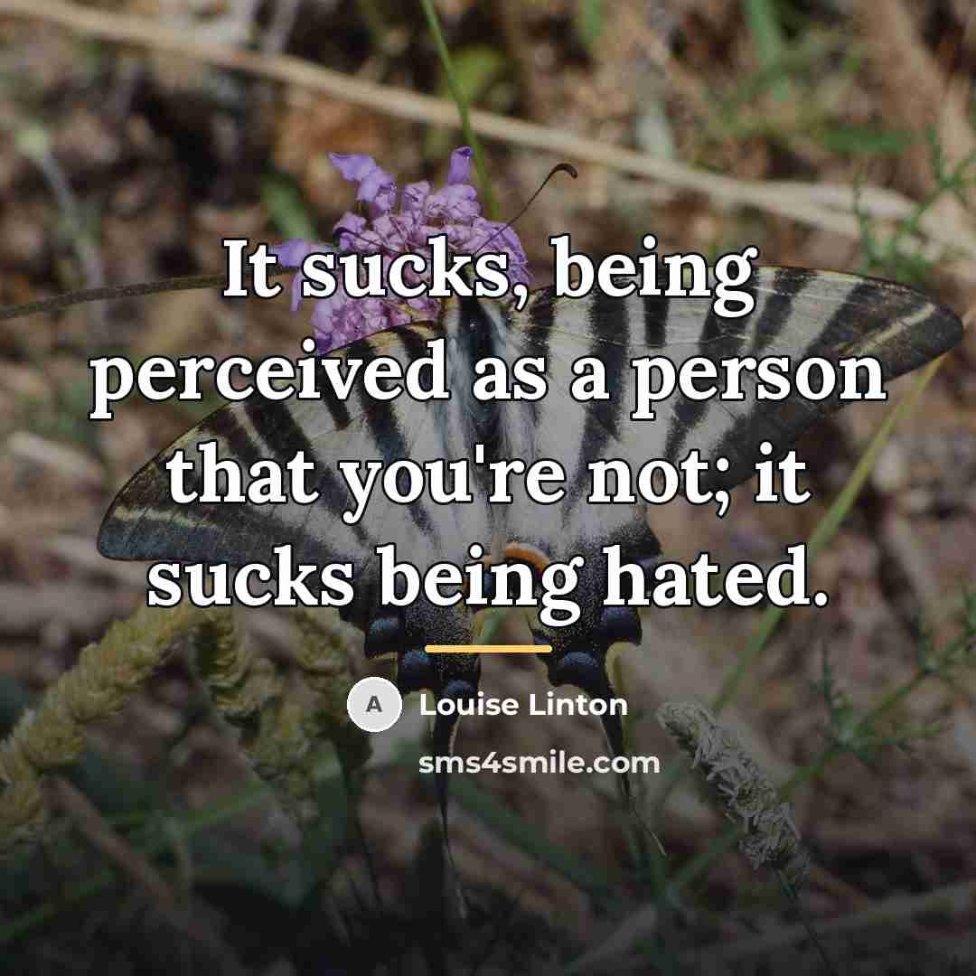 “It sucks, being perceived as a person that you're not;…” quote by Louise Linton