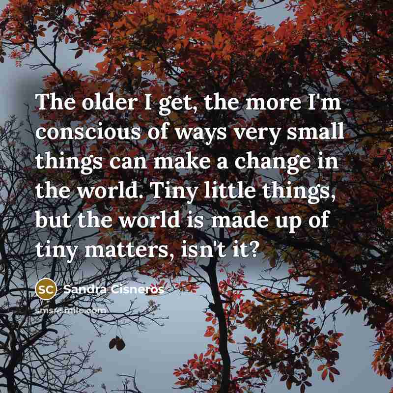 “The older I get, the more I'm conscious of ways…” quote by Sandra Cisneros