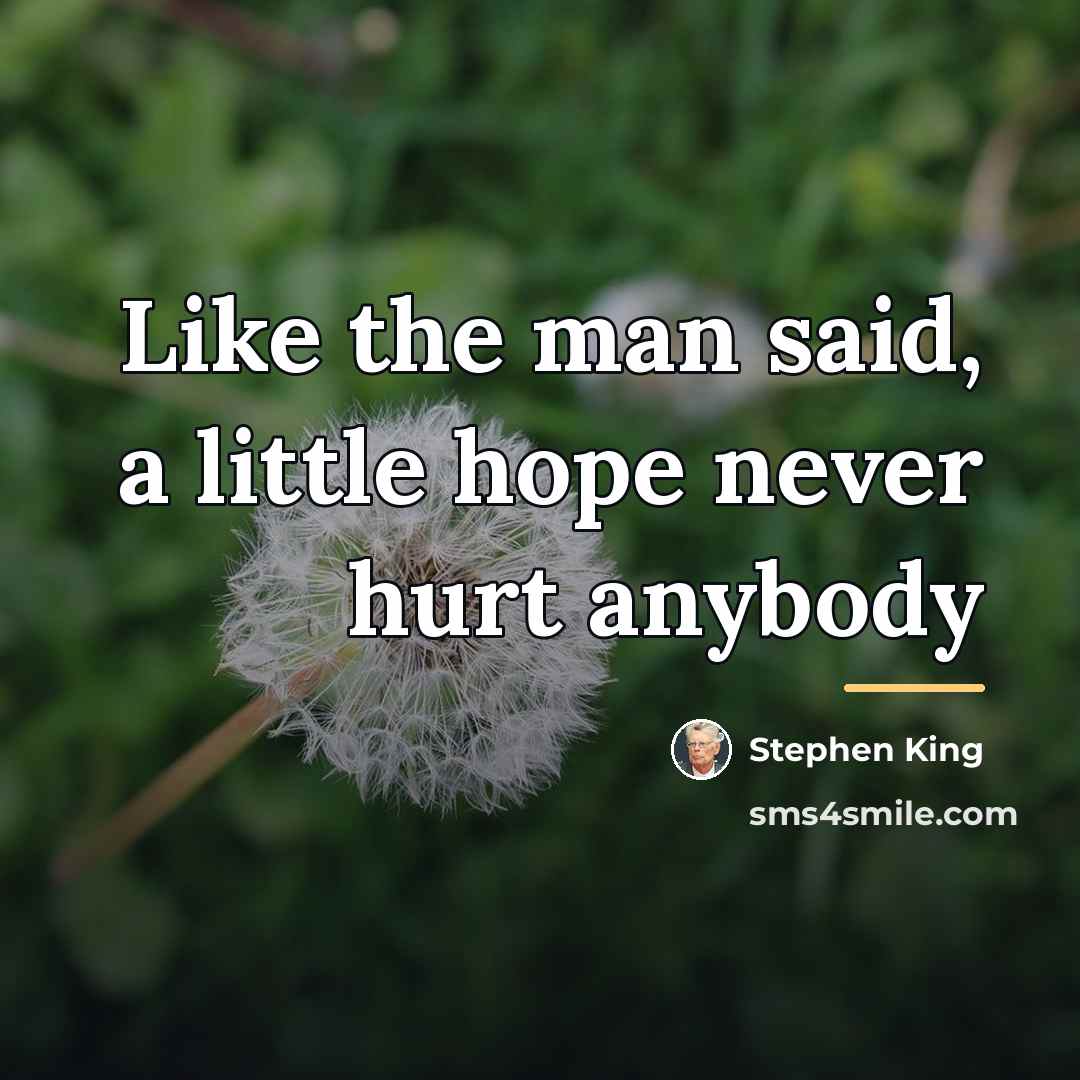 “Like the man said, a little hope never hurt anybody…” quote by Stephen King