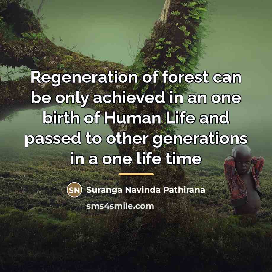 “Regeneration of forest can be only achieved in an one…” quote by Suranga Navinda Pathirana