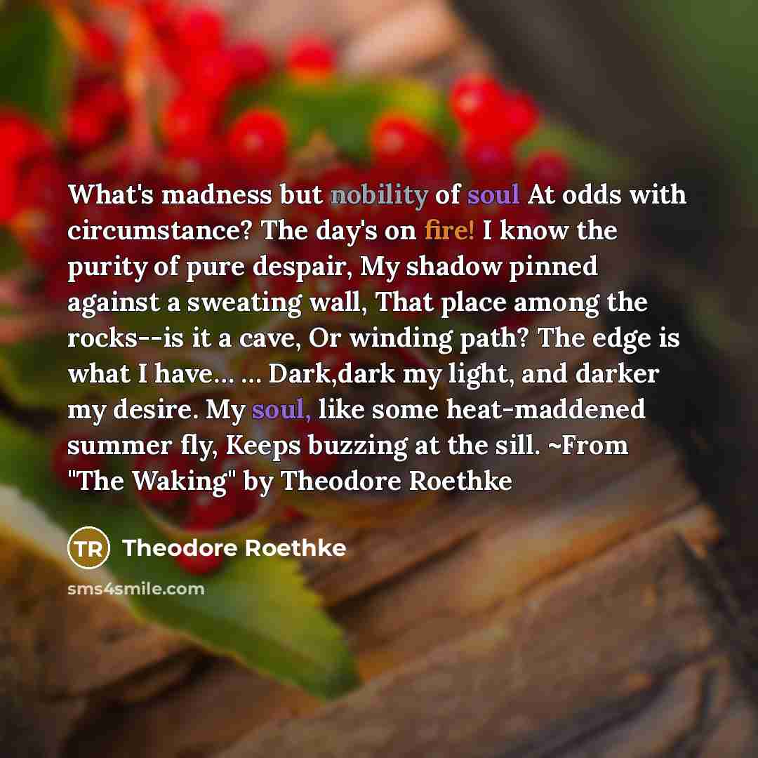 “What's madness but nobility of soul At odds with circumstance?…” quote by Theodore Roethke
