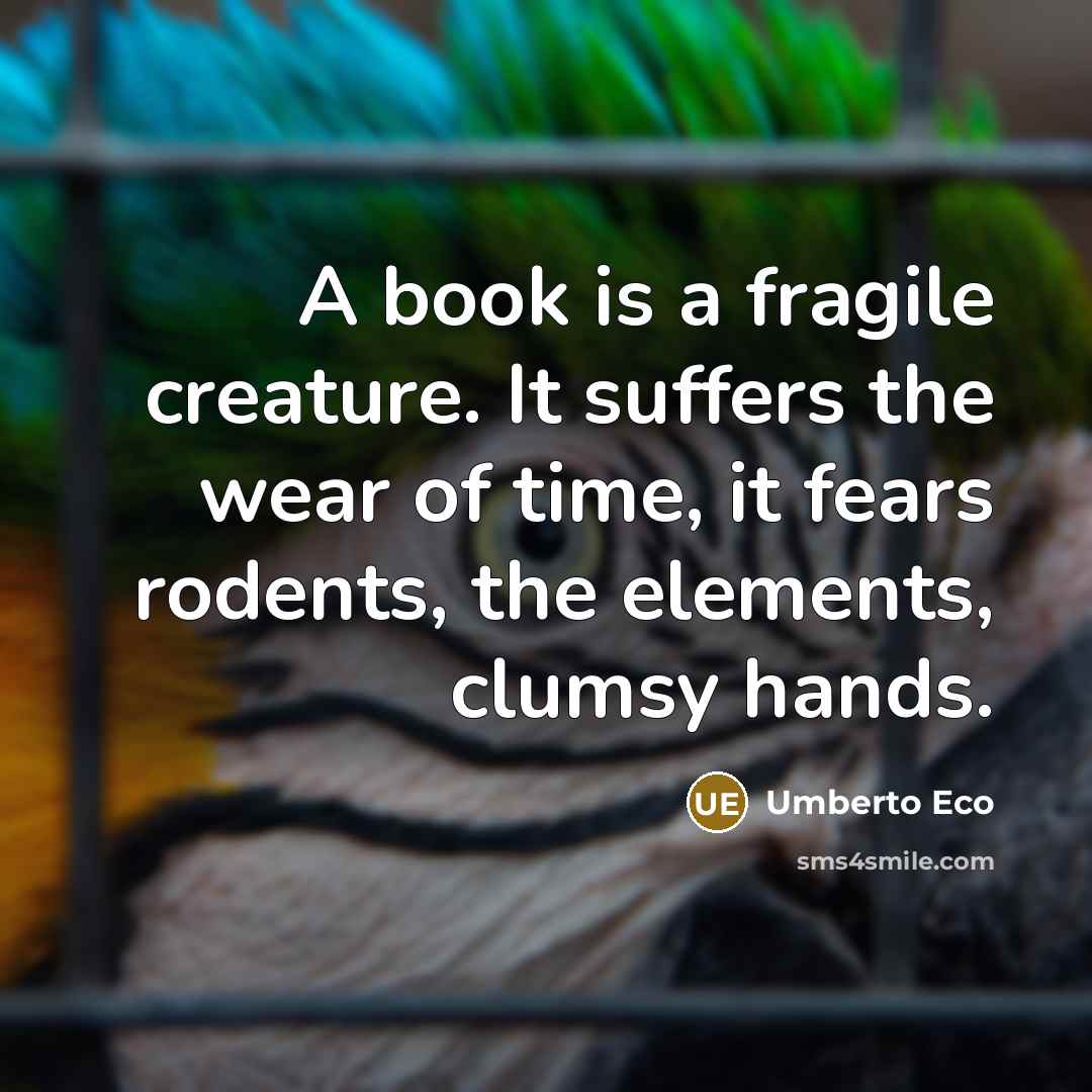 “A book is a fragile creature. It suffers the wear…” quote by Umberto Eco