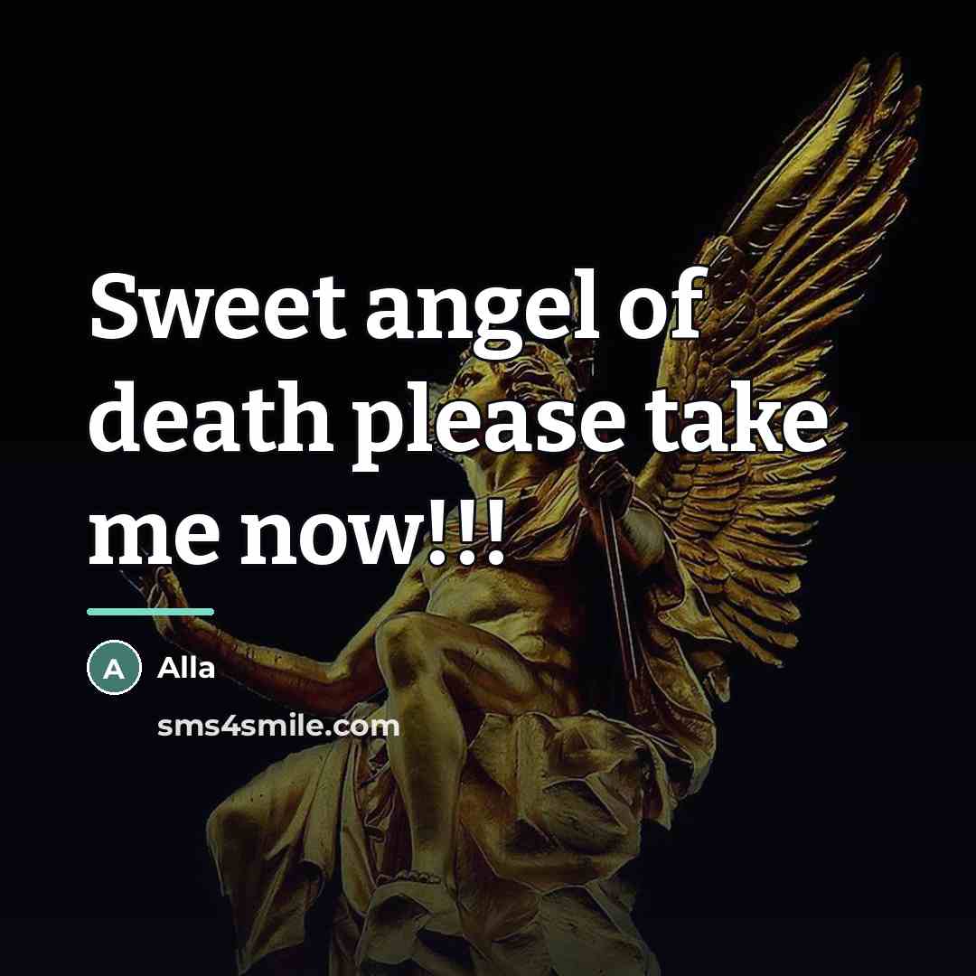 “Sweet angel of death please take me now!!!…” quote by Alla