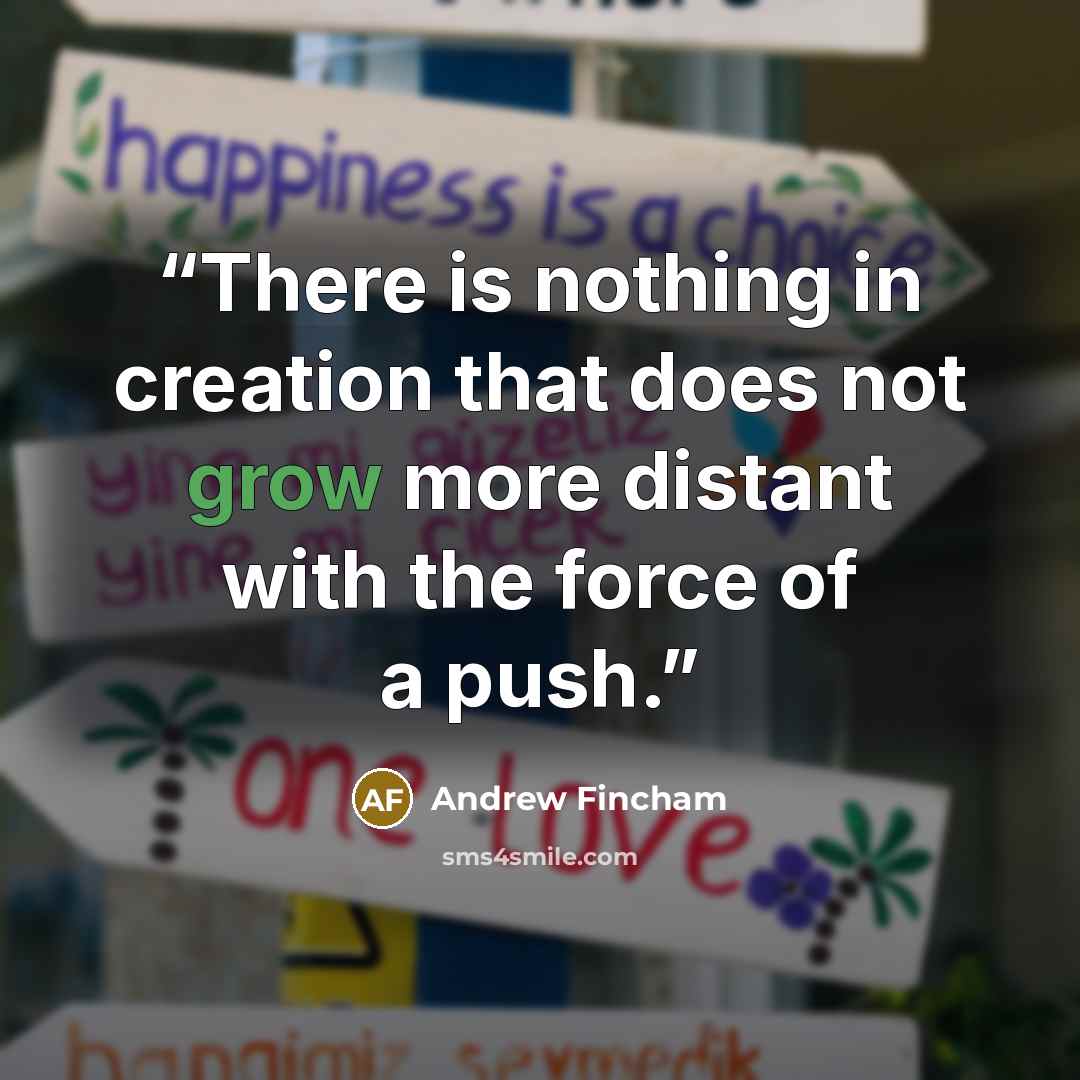 “There is nothing in creation that does not grow more distant with the force of a push.” quote by Andrew Fincham