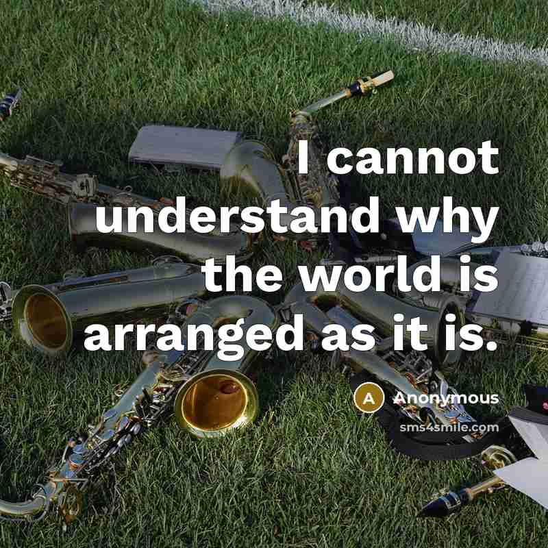 “I cannot understand why the world is arranged as it is.” quote by Anonymous