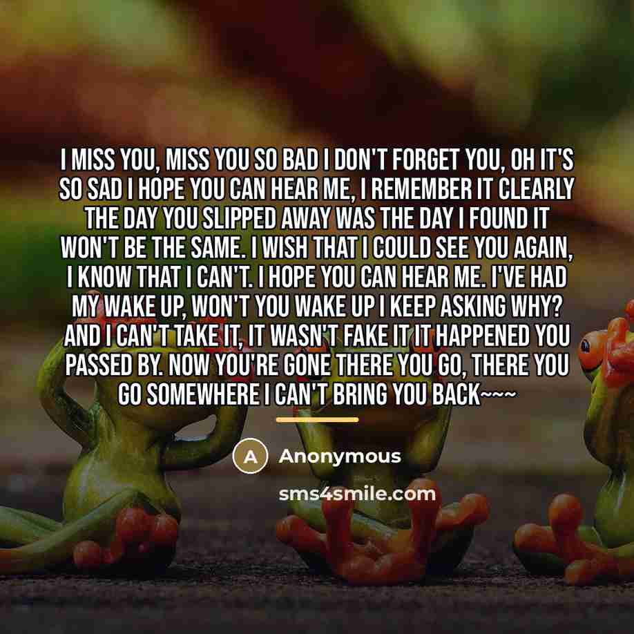 “I miss you, miss you so bad I don't forget you, oh it's so sad I hope you can hear me, I remember it clearly The day you slipped away Was the day I found it won't be the same. I wish that I could see you again, I know that I can't. I hope you can hear me. I've had my wake up, won't you wake up I…” quote by Anonymous