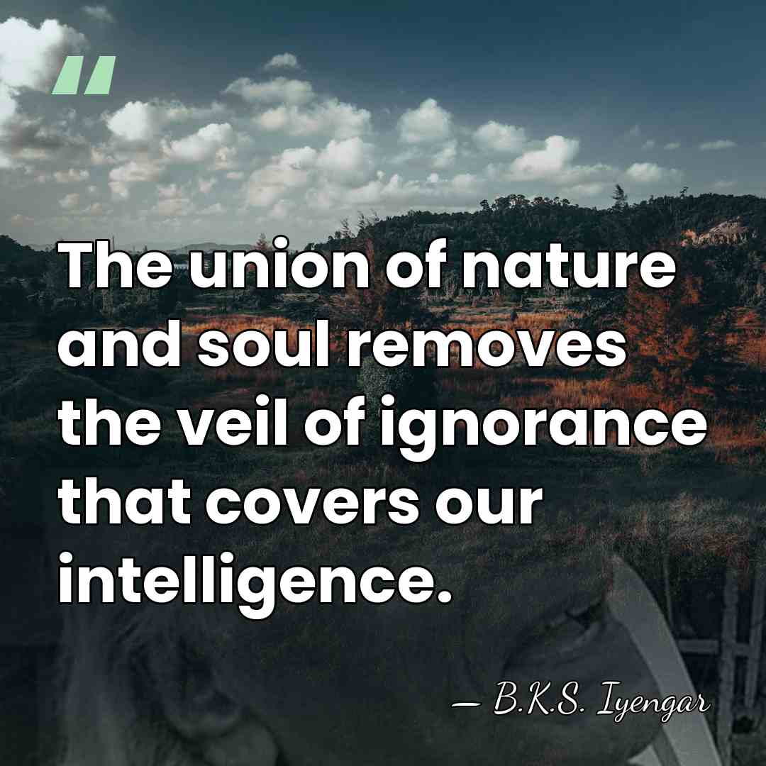 The union of nature and soul removes the veil of ignorance that&hellip; - B.K.S. Iyengar