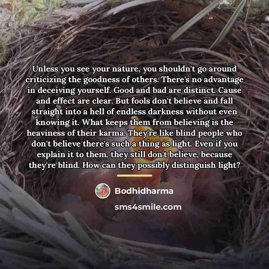 “Unless you see your nature, you shouldn't go around criticizing…” quote by Bodhidharma