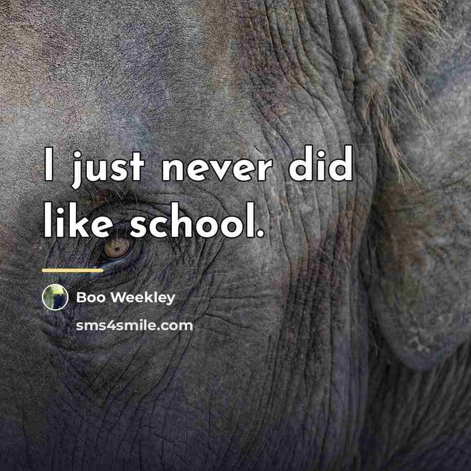 “I just never did like school.…” quote by Boo Weekley