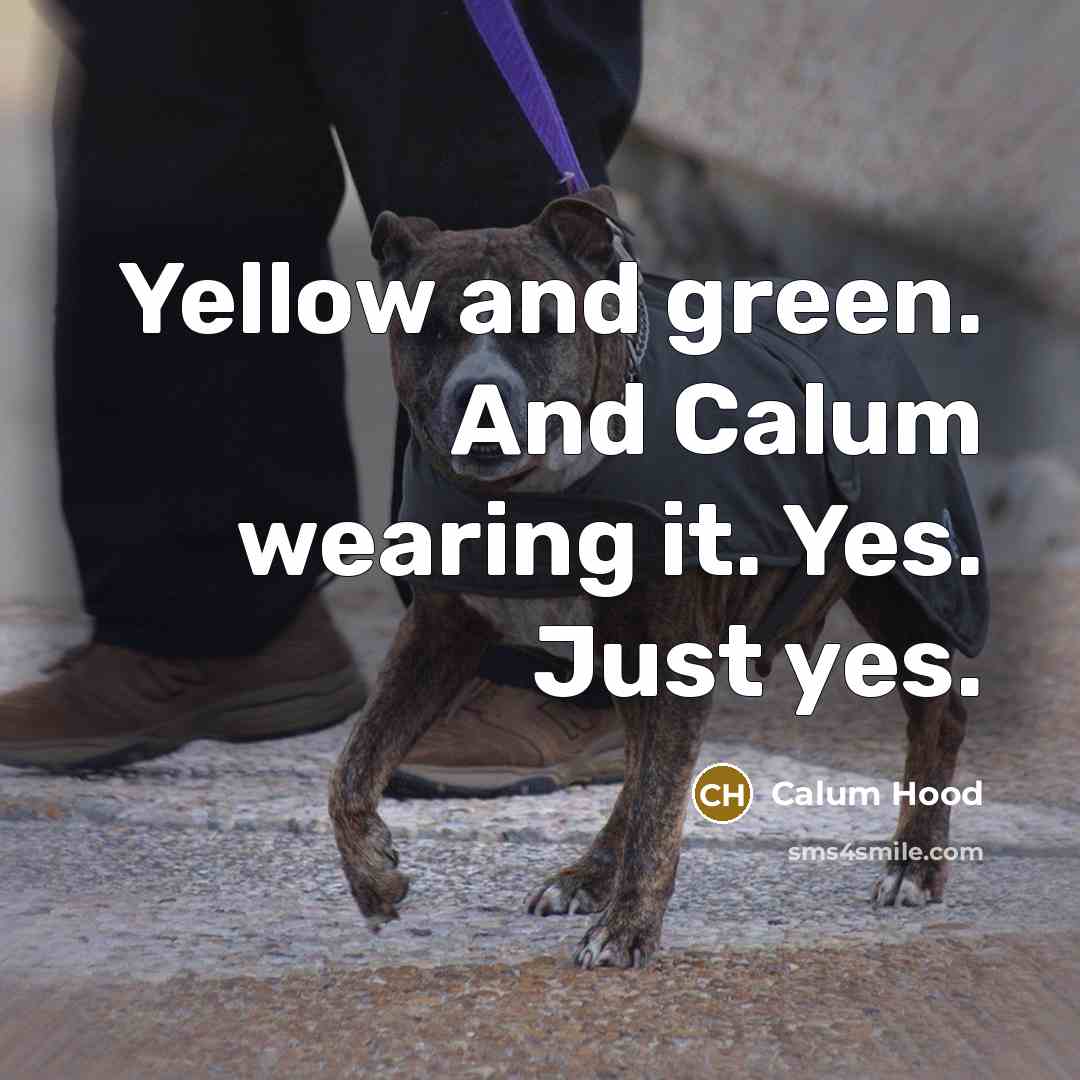 “Yellow and green. And Calum wearing it. Yes. Just yes.…” quote by Calum Hood