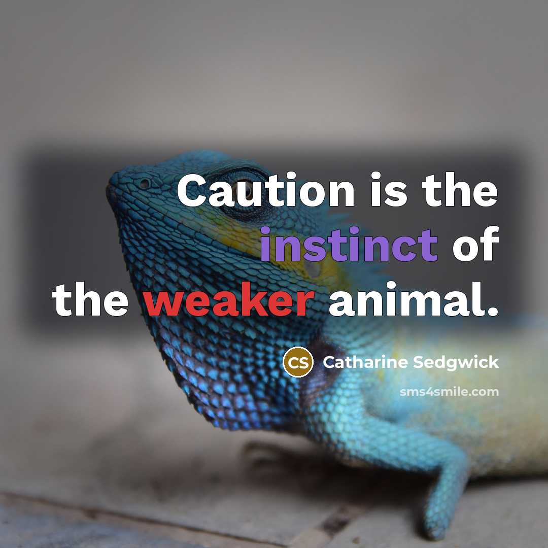 “Caution is the instinct of the weaker animal.…” quote by Catharine Sedgwick