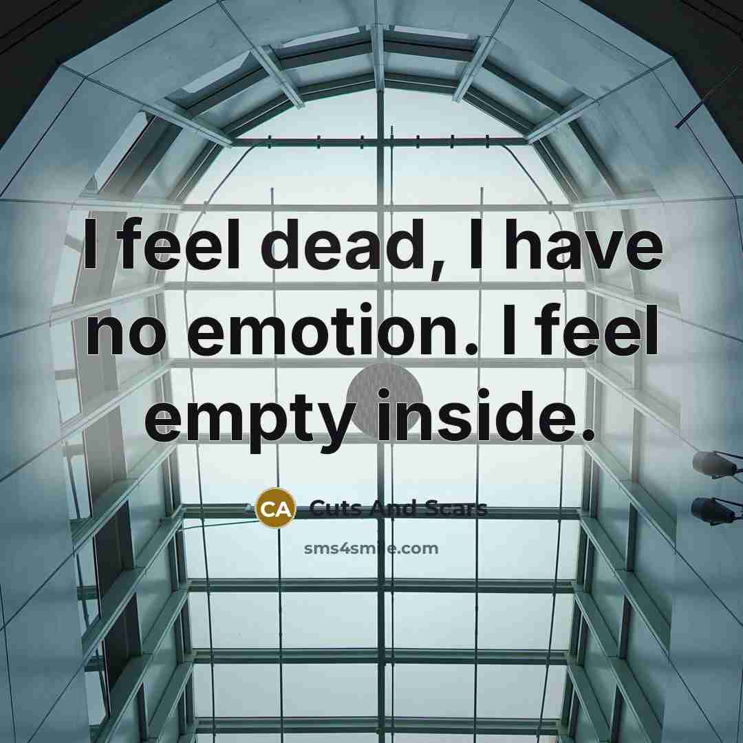 “I feel dead, I have no emotion. I feel empty…” quote by Cuts And Scars