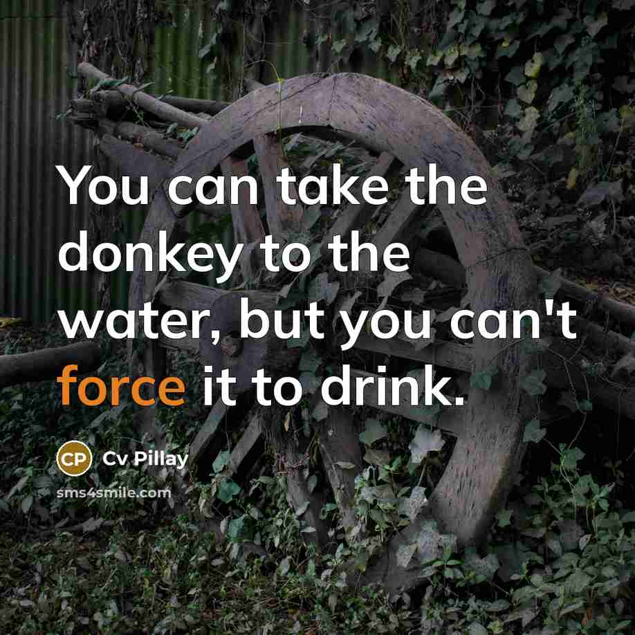 “You can take the donkey to the water, but you…” quote by Cv Pillay