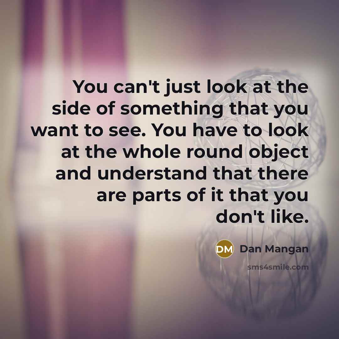 “You can't just look at the side of something that…” quote by Dan Mangan