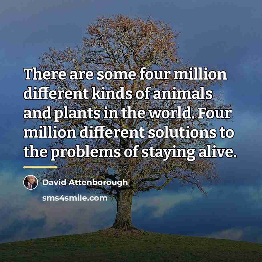 “There are some four million different kinds of animals and…” quote by David Attenborough