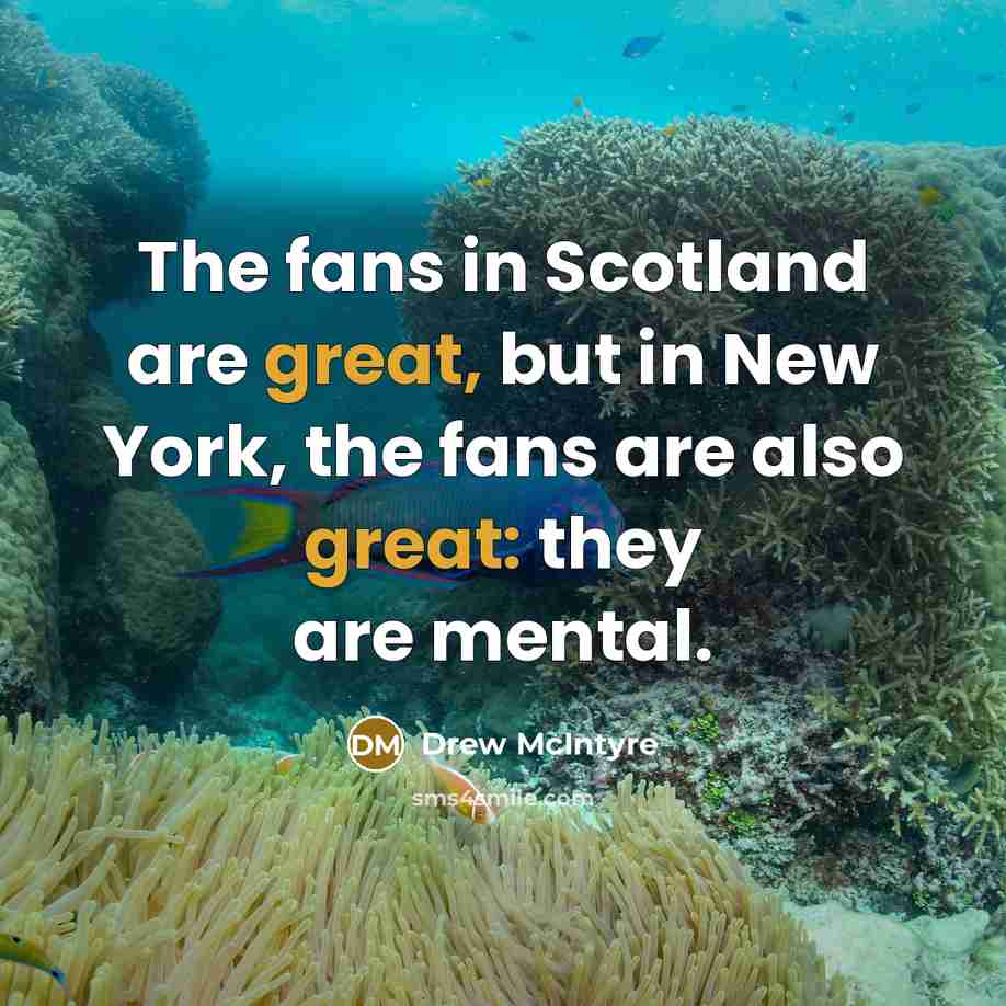 “The fans in Scotland are great, but in New York,…” quote by Drew McIntyre